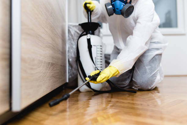 Best Mosquito Control Services  in Sully Square, VA