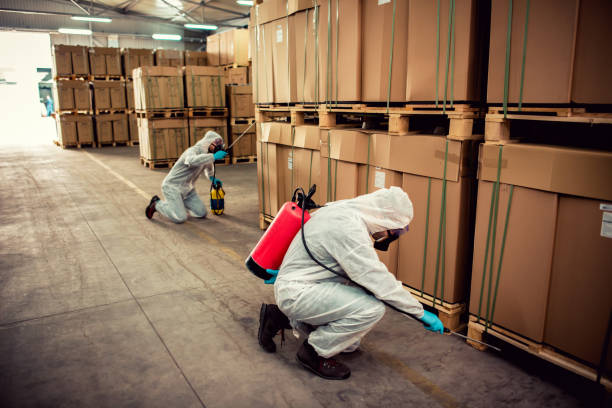 Reliable Sully Square, VA Pest Control Solutions