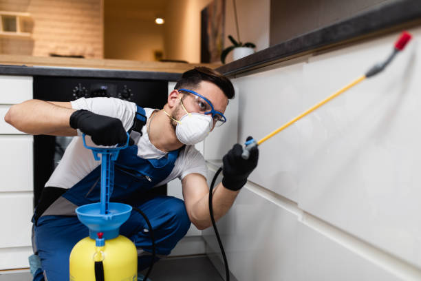 Wasp Removal Services in Sully Square, VA