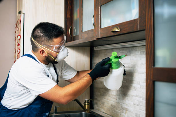 Best Affordable Pest Control Services  in Sully Square, VA