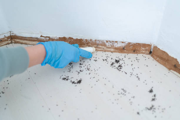 Best Pest Prevention Services  in Sully Square, VA